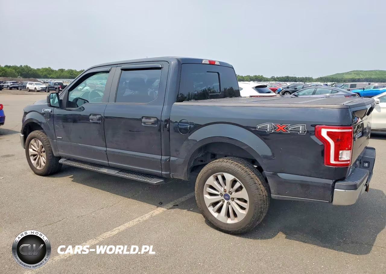 2016 Ford F150 Supercrew VIN:1FTEW1EP7GFD47039 - 2