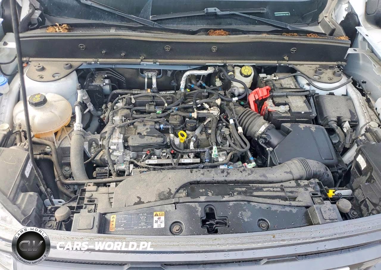 2024 Ford Bronco Sport Big Bend VIN:3FMCR9B64RRE21804 - 11