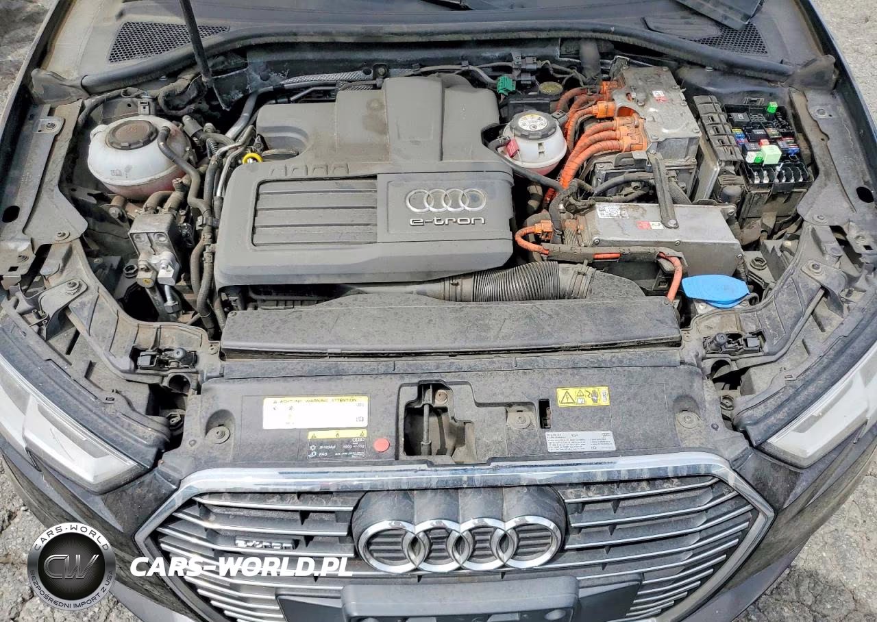 2018 Audi A3 E-Tron Premium VIN:WAUUPBFF3JA058164 - 11