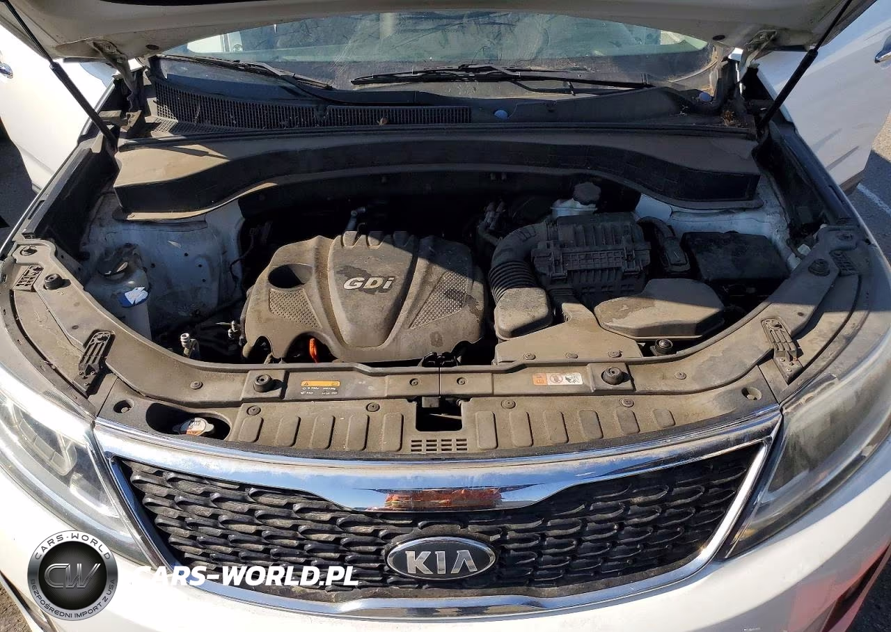 2014 Kia Sorento Lx VIN:5XYKT3A65EG455836 - 12