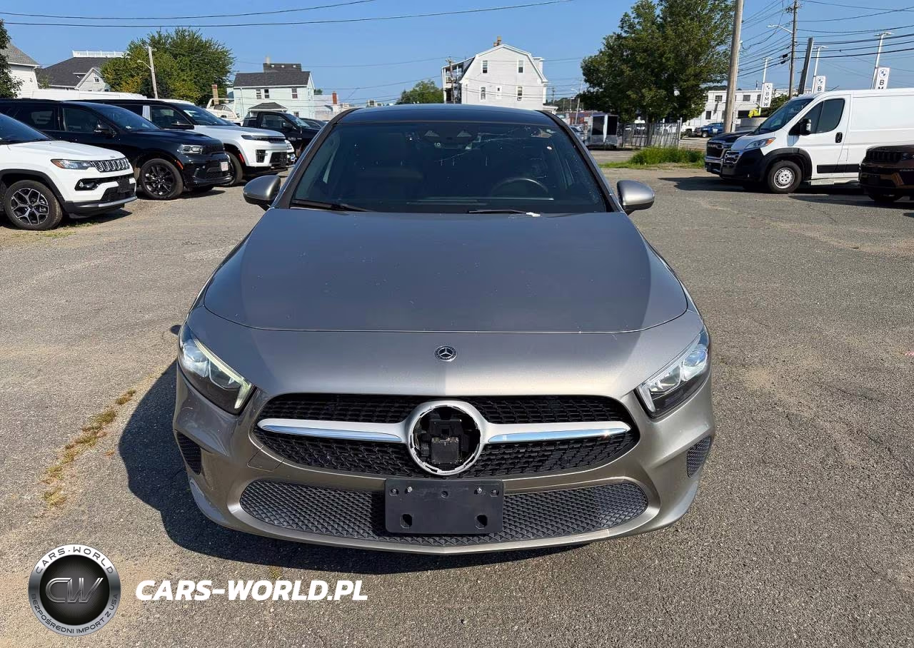 2019 Mercedes-Benz A 220 4Matic VIN:WDD3G4FB0KW024667 - 12