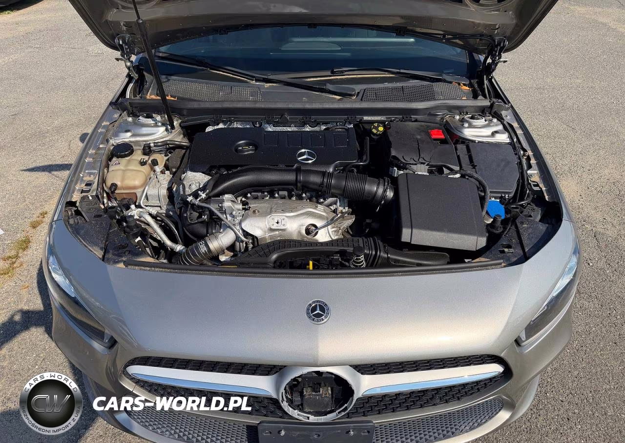 2019 Mercedes-Benz A 220 4Matic VIN:WDD3G4FB0KW024667 - 7