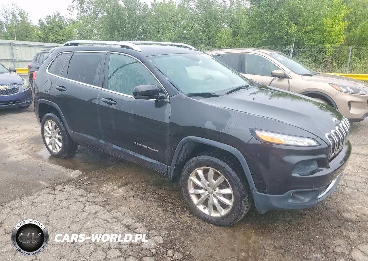 2014 Jeep Cherokee Limited VIN:1C4PJMDB2EW198499 - 4