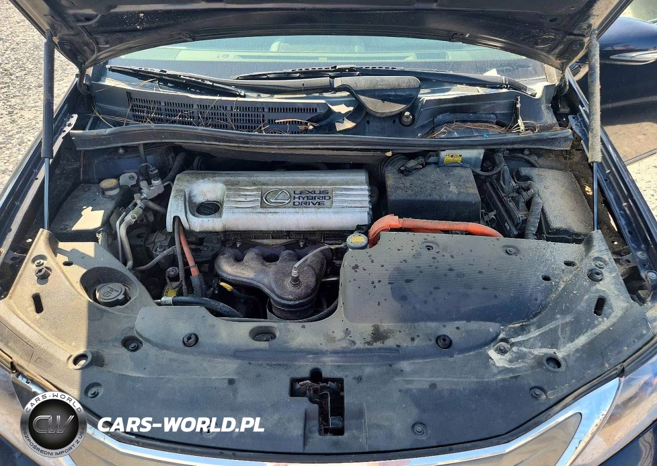 2010 Lexus Hs 250H VIN:JTHBB1BA9A2009668 - 11