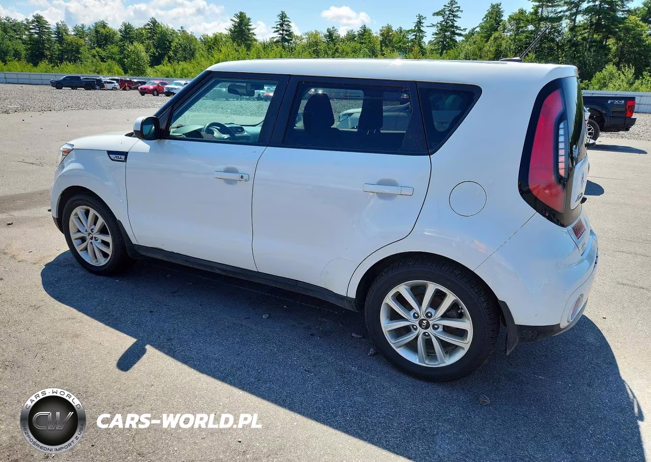2019 Kia Soul + VIN:KNDJP3A58K7698301 - 2