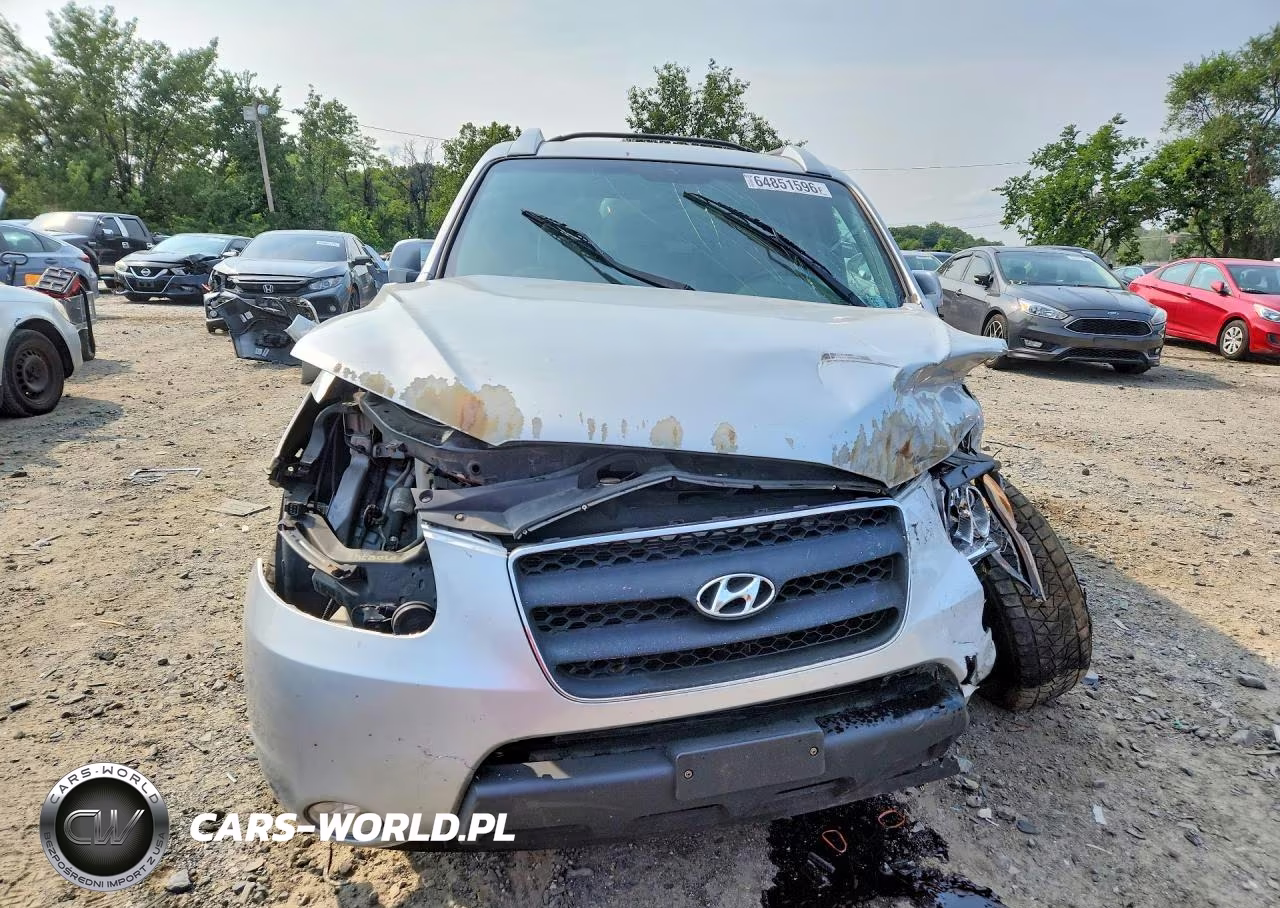 2009 Hyundai Santa Fe Se VIN:5NMSH73E79H311942 - 5