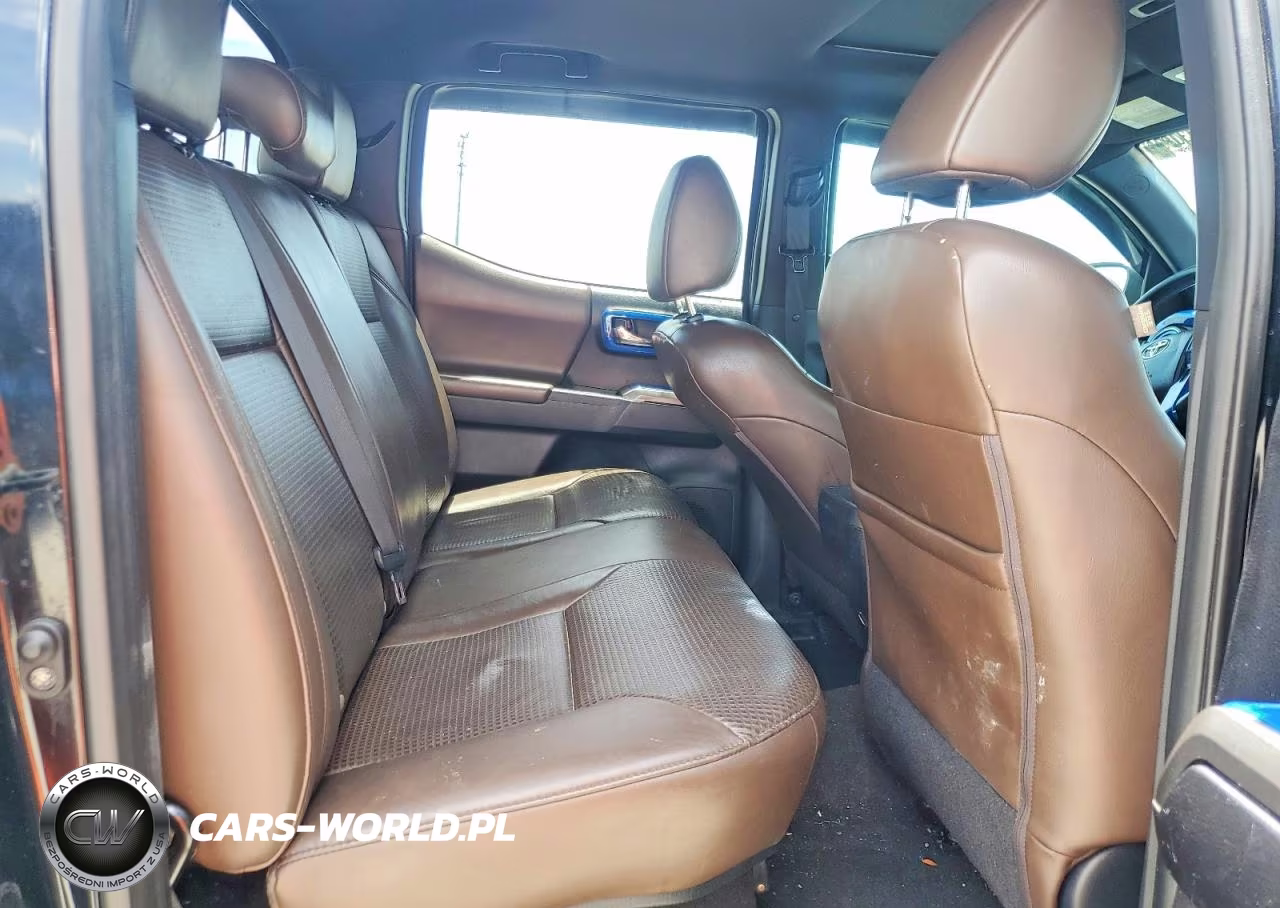 2019 Toyota Tacoma Limited VIN:3TMEZ5CN5KM081609 - 10