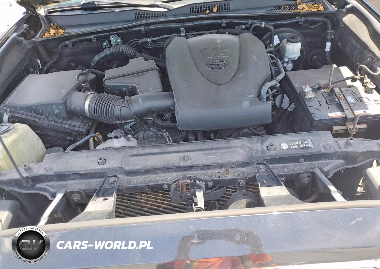 2019 Toyota Tacoma Limited VIN:3TMEZ5CN5KM081609 - 11