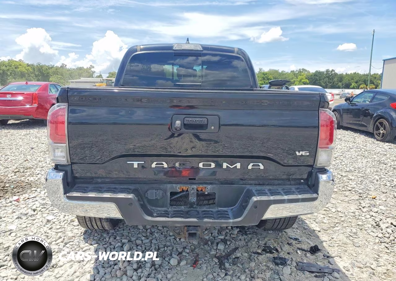 2019 Toyota Tacoma Limited VIN:3TMEZ5CN5KM081609 - 6