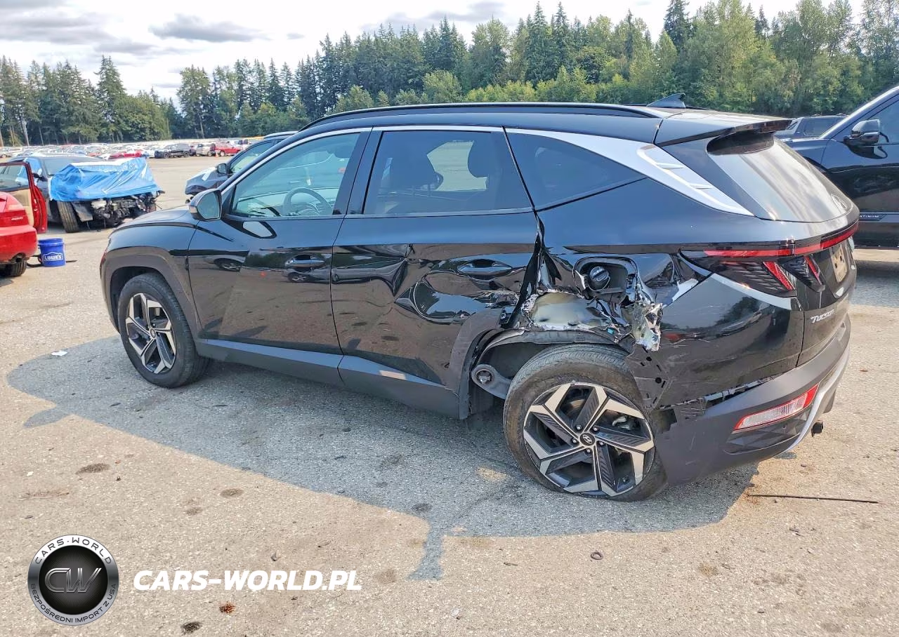 2022 Hyundai Tucson Limited VIN:KM8JFDA23NU035928 - 2