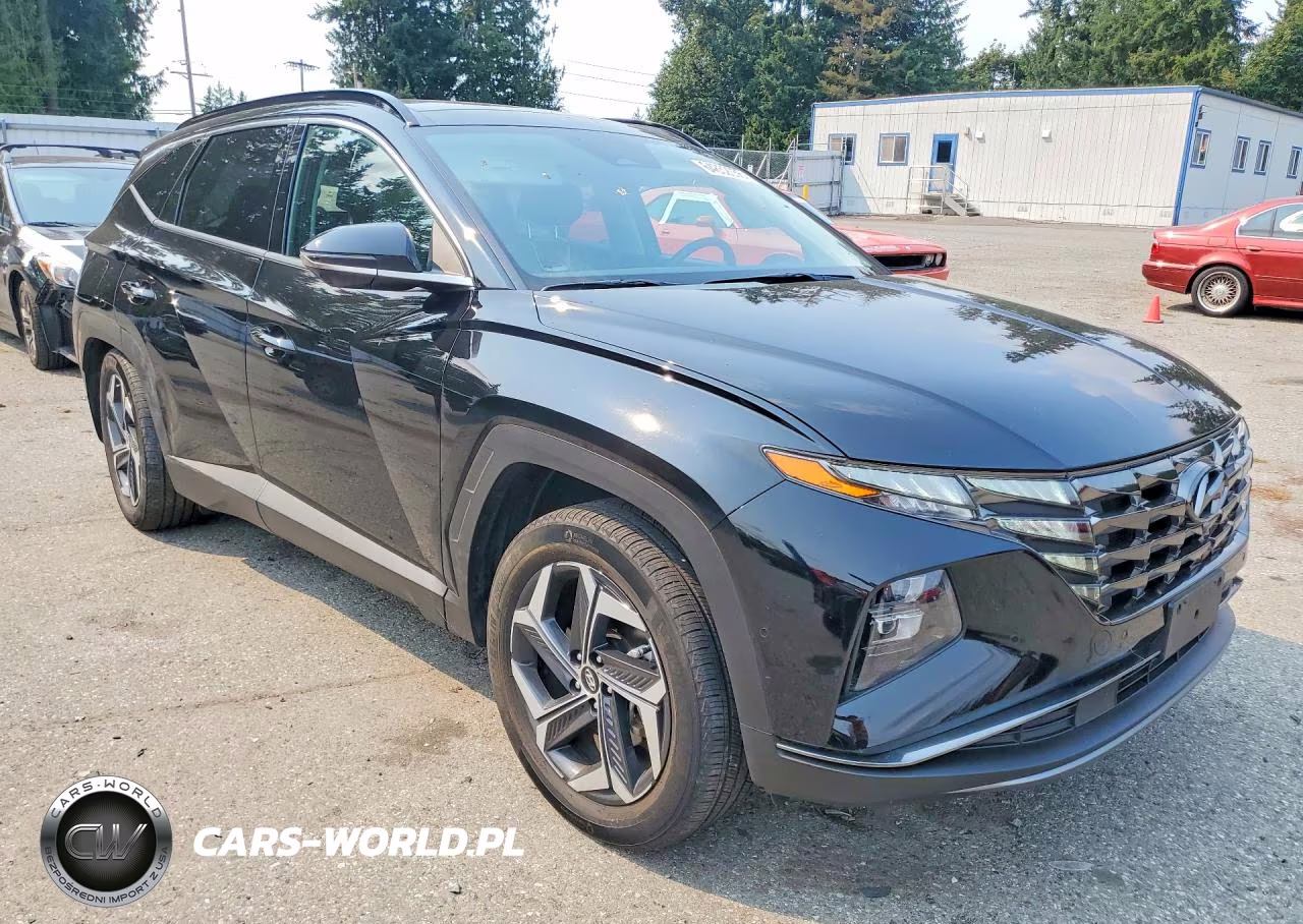 2022 Hyundai Tucson Limited VIN:KM8JFDA23NU035928 - 4