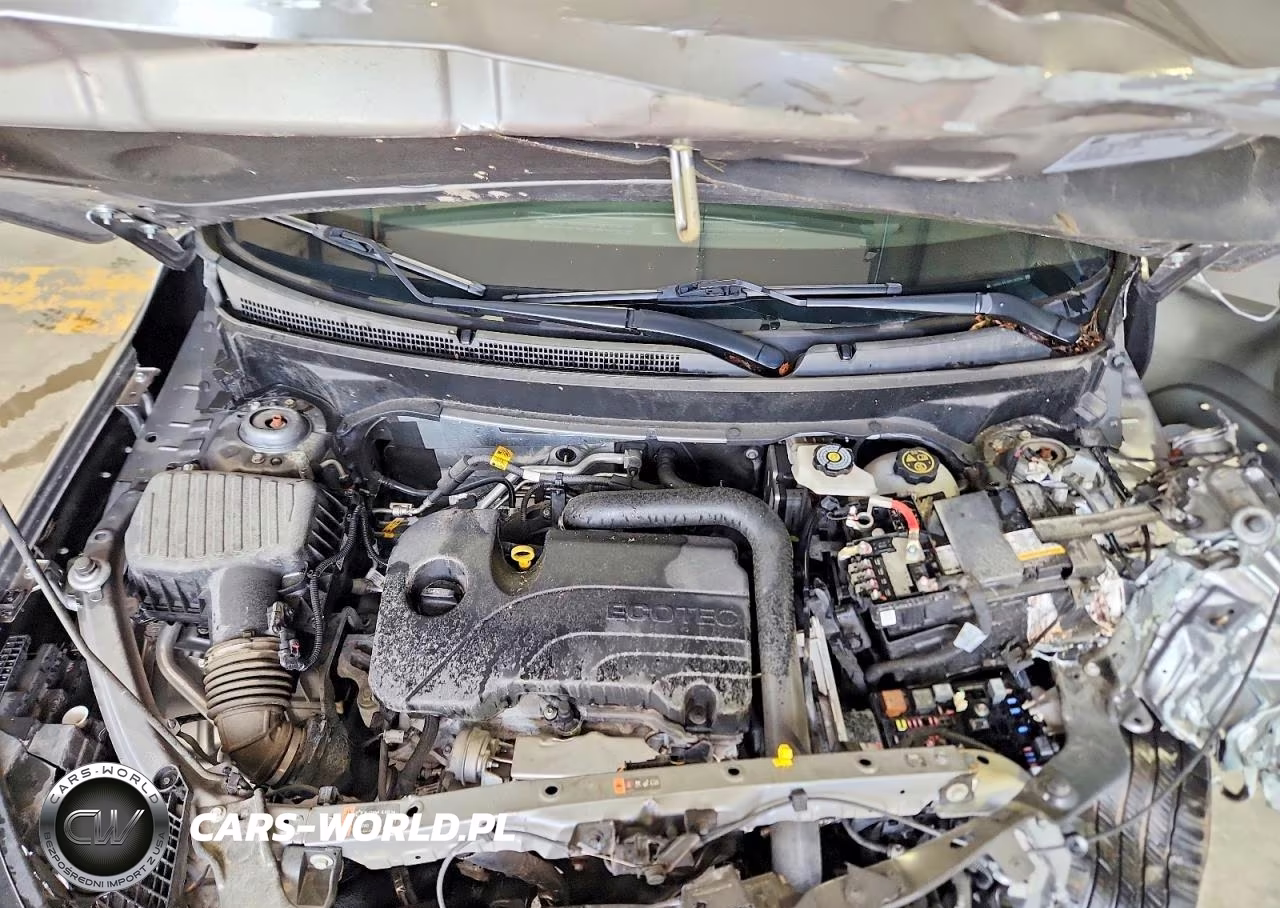 2024 GMC Terrain Slt VIN:3GKALPEGXRL145254 - 12