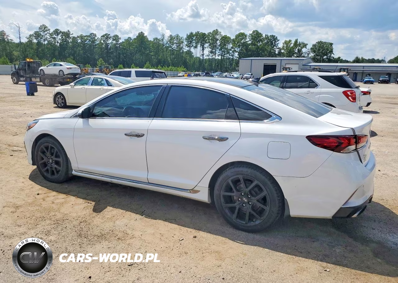 2019 Hyundai Sonata Limited Turbo VIN:5NPE34AB5KH800481 - 2