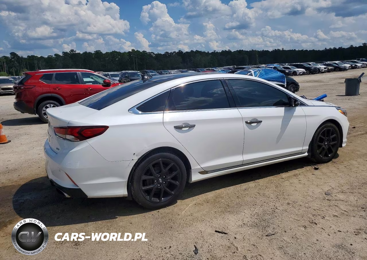 2019 Hyundai Sonata Limited Turbo VIN:5NPE34AB5KH800481 - 3
