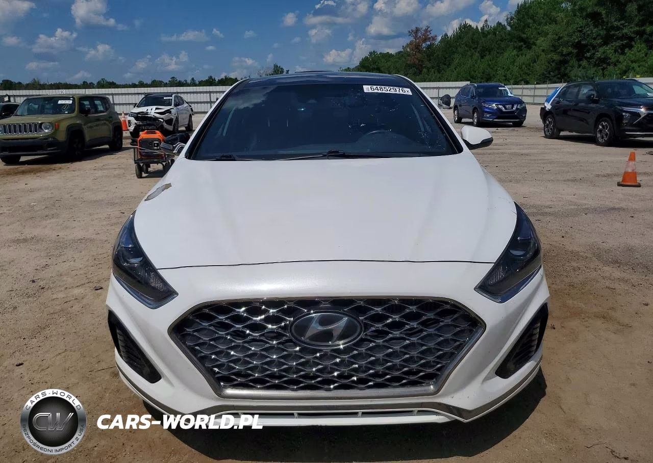 2019 Hyundai Sonata Limited Turbo VIN:5NPE34AB5KH800481 - 5