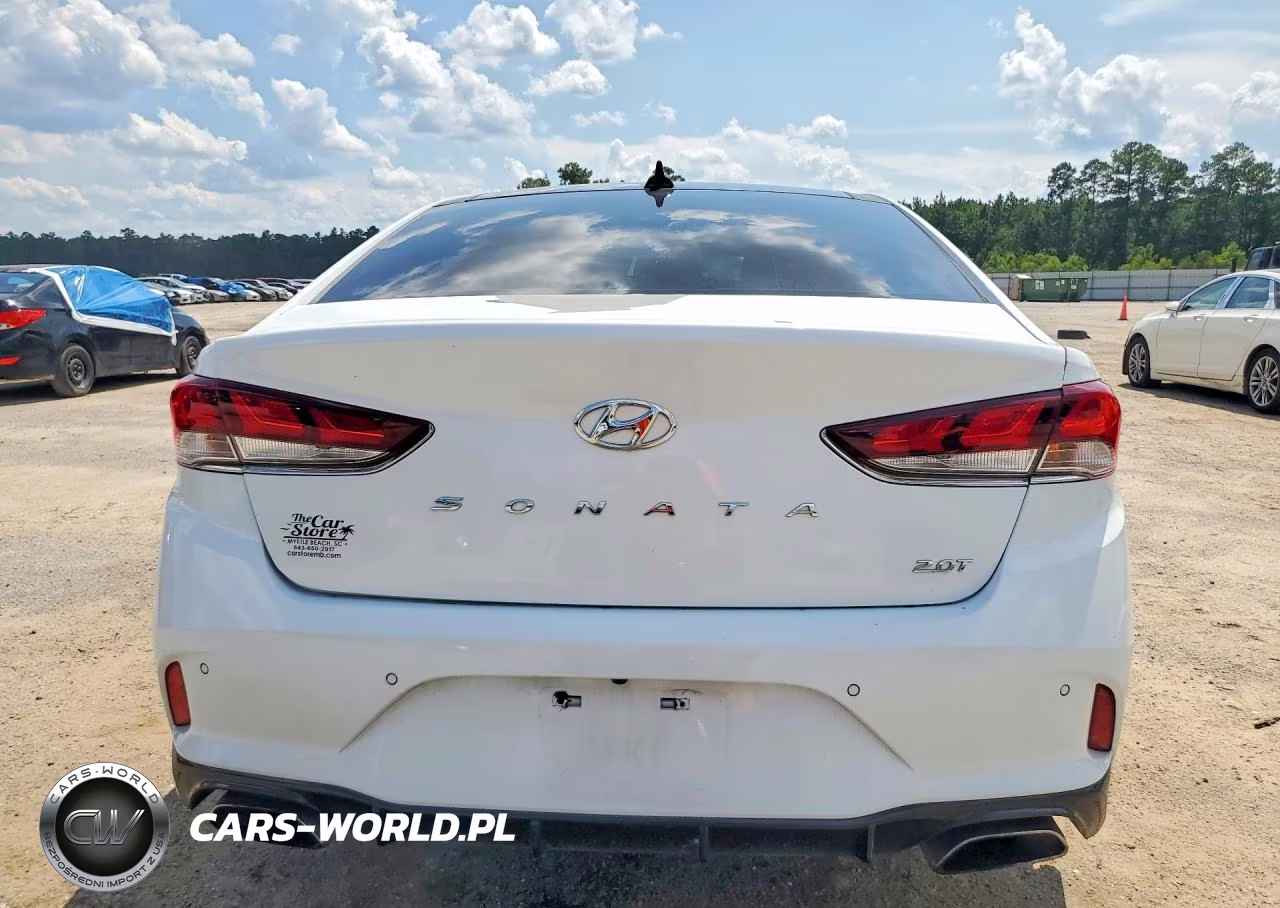 2019 Hyundai Sonata Limited Turbo VIN:5NPE34AB5KH800481 - 6