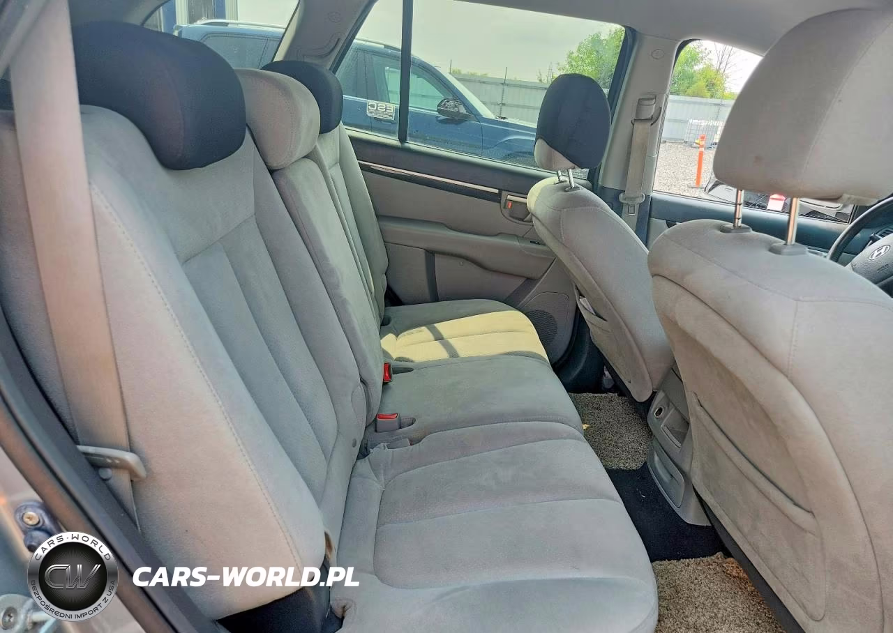2009 Hyundai Santa Fe Se VIN:5NMSH73EX9H250859 - 10