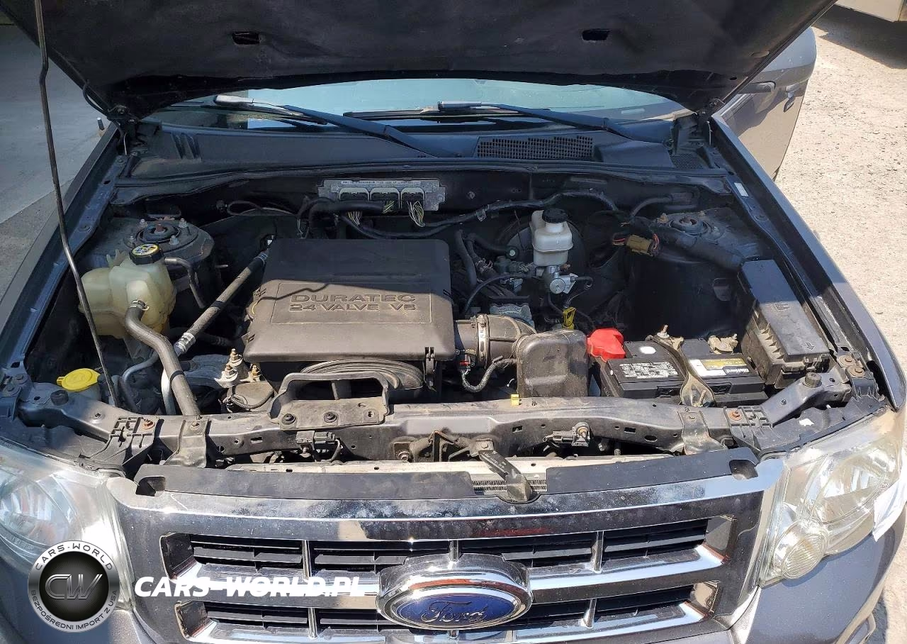 2009 Ford Escape Xlt VIN:1FMCU03G39KC59539 - 12