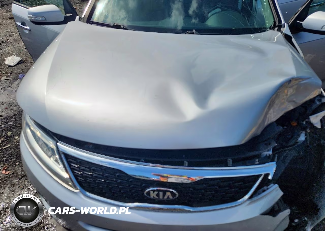 2015 Kia Sorento Ex VIN:5XYKUDA77FG624087 - 12