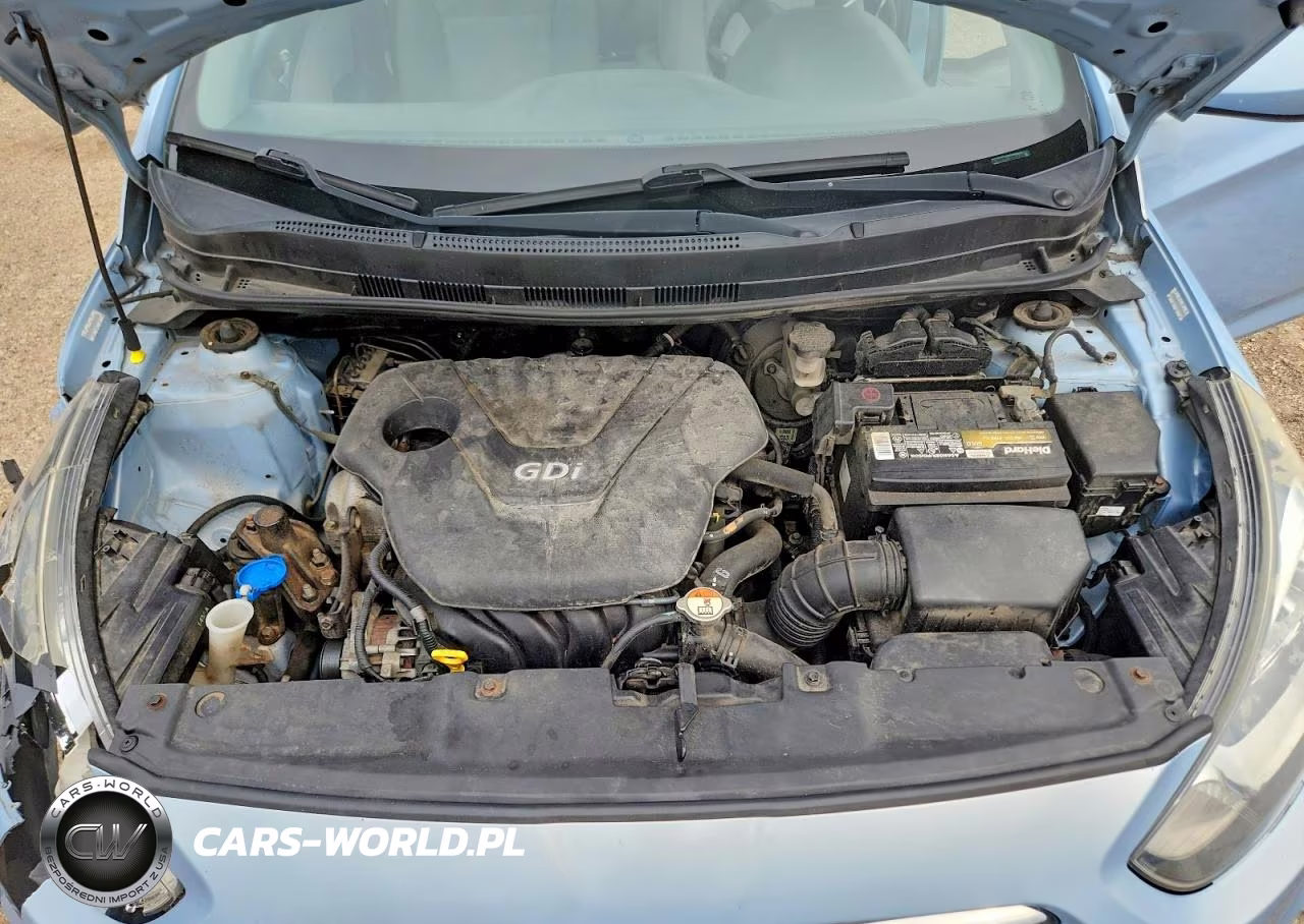 2014 Hyundai Accent Gs VIN:KMHCT5AE8EU178942 - 11