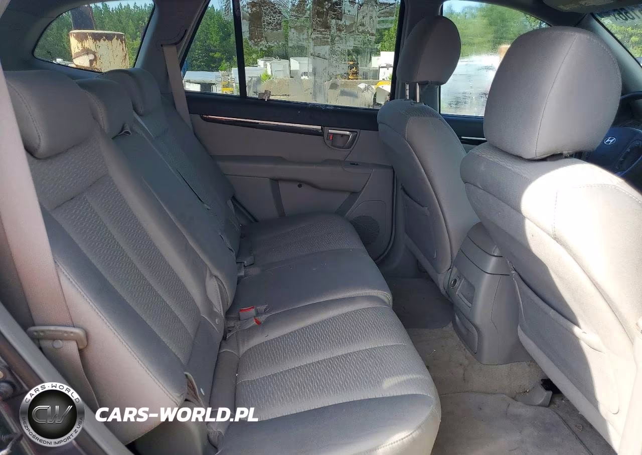 2007 Hyundai Santa Fe Gls VIN:5NMSG13D47H124615 - 10