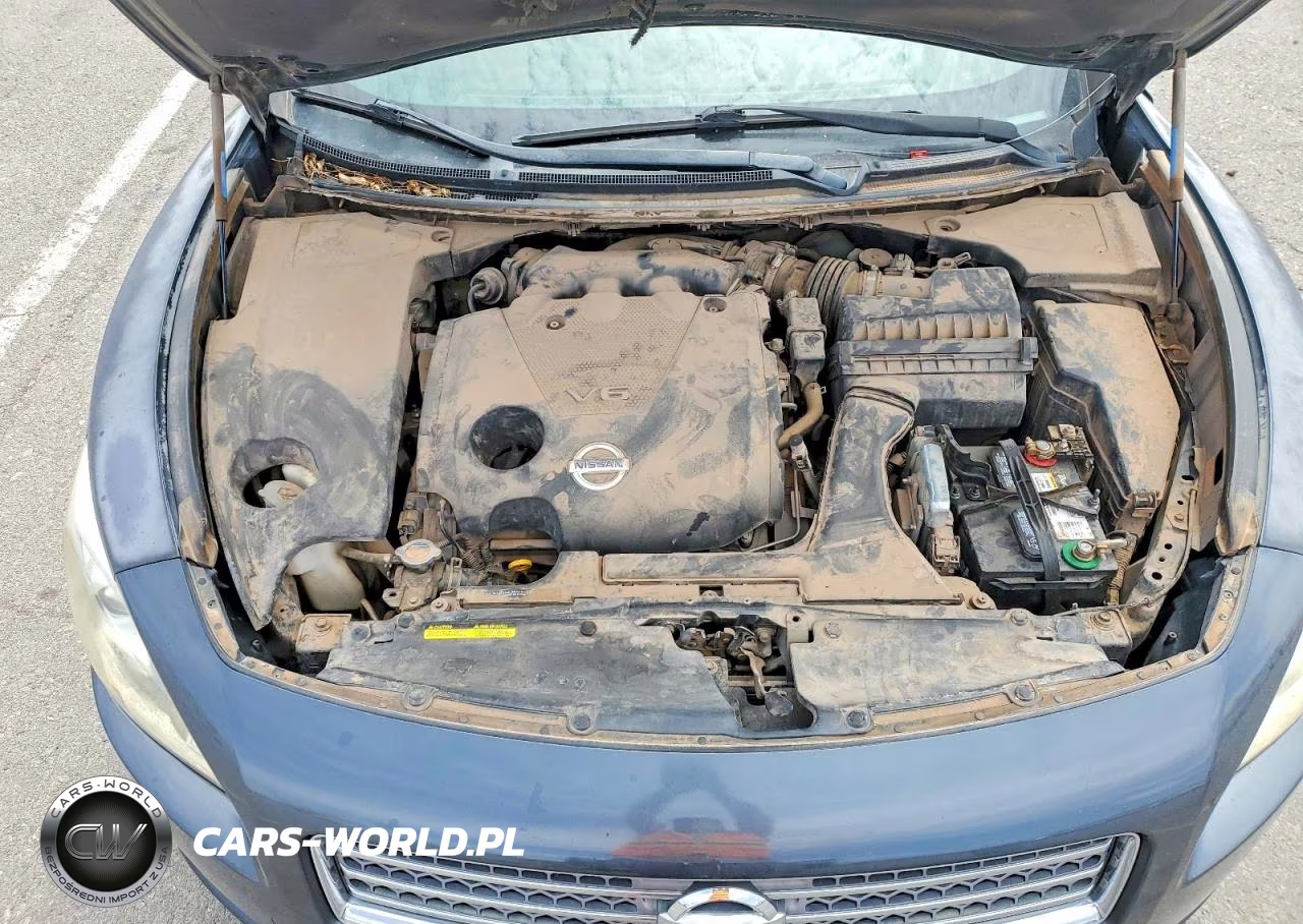 2009 Nissan Maxima 3.5 S VIN:1N4AA51E29C861545 - 11