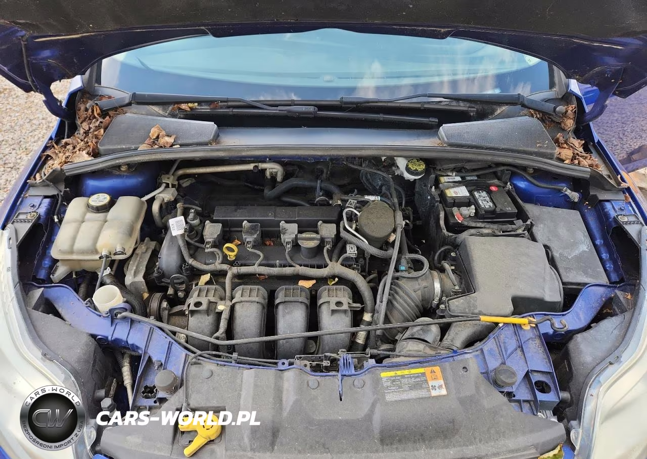 2012 Ford Focus Se VIN:1FAHP3F25CL422637 - 11