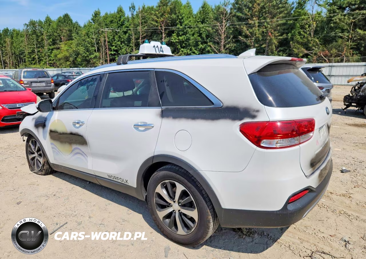 2016 Kia Sorento Ex VIN:5XYPH4A15GG099294 - 2