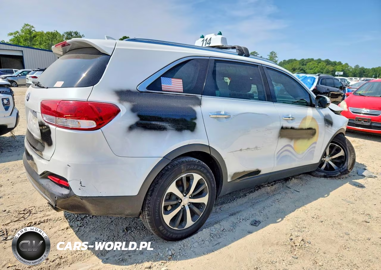 2016 Kia Sorento Ex VIN:5XYPH4A15GG099294 - 3