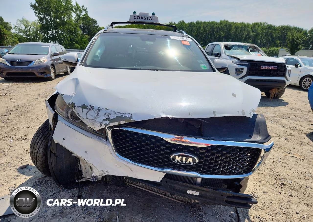 2016 Kia Sorento Ex VIN:5XYPH4A15GG099294 - 5