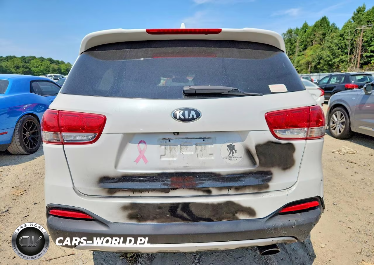 2016 Kia Sorento Ex VIN:5XYPH4A15GG099294 - 6