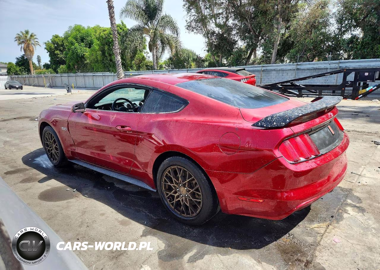 2016 Ford Mustang Gt VIN:1FA6P8CF6G5242105 - 2