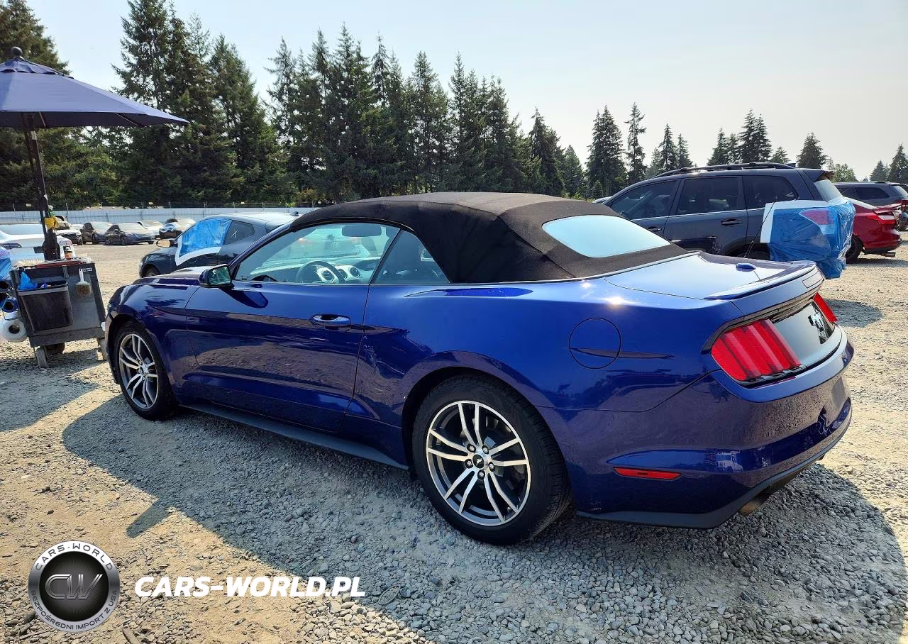 2015 Ford Mustang VIN:1FATP8UH8F5409792 - 2