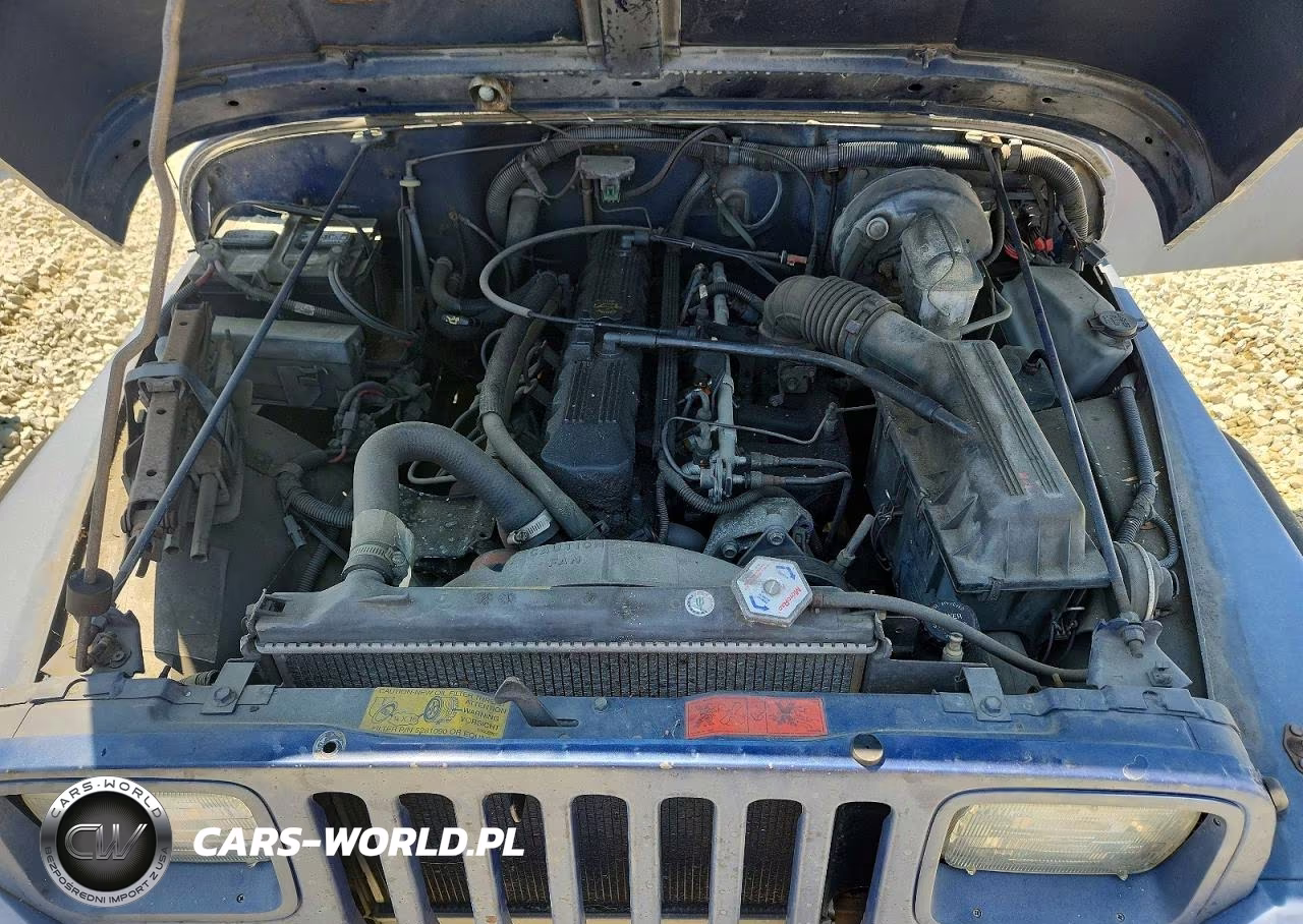 1991 Jeep Wrangler - Yj VIN:2J4FY29S0MJ144512 - 11
