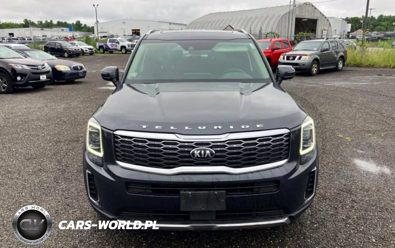 2020 Kia Telluride S VIN:5XYP6DHC4LG017238 - 11
