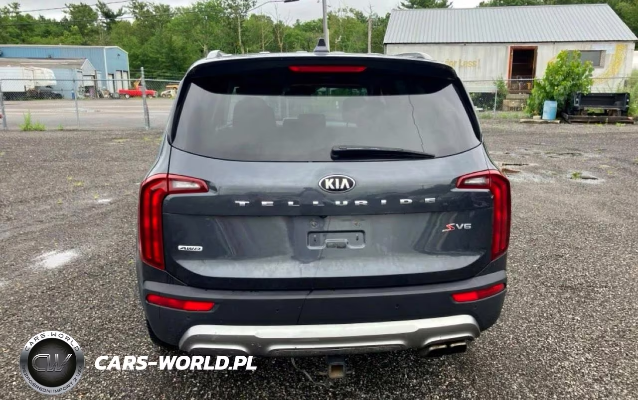 2020 Kia Telluride S VIN:5XYP6DHC4LG017238 - 12
