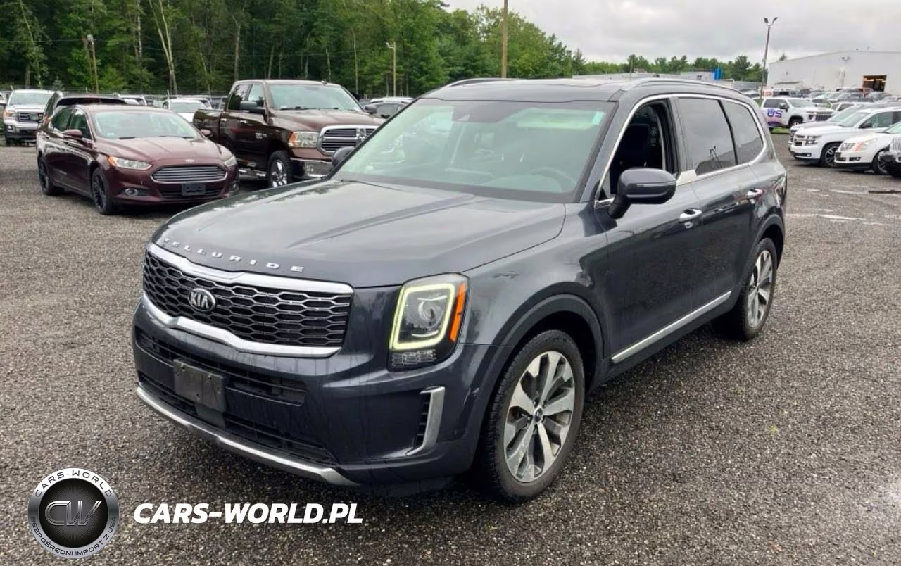 2020 Kia Telluride S VIN:5XYP6DHC4LG017238 - 2