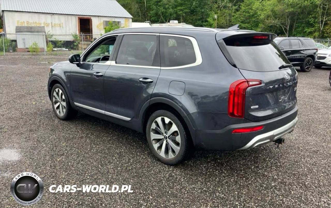 2020 Kia Telluride S VIN:5XYP6DHC4LG017238 - 3