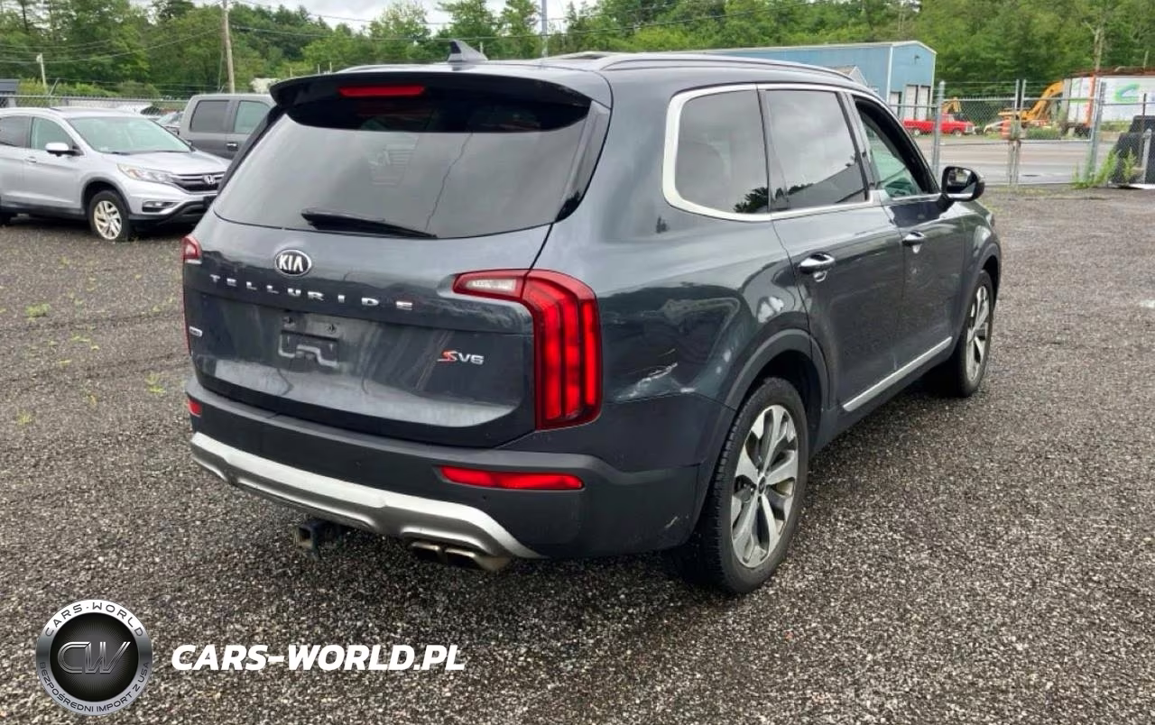 2020 Kia Telluride S VIN:5XYP6DHC4LG017238 - 4