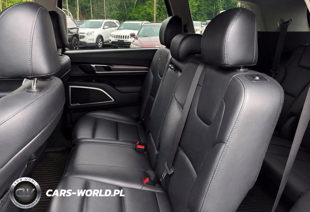 2020 Kia Telluride S VIN:5XYP6DHC4LG017238 - 6
