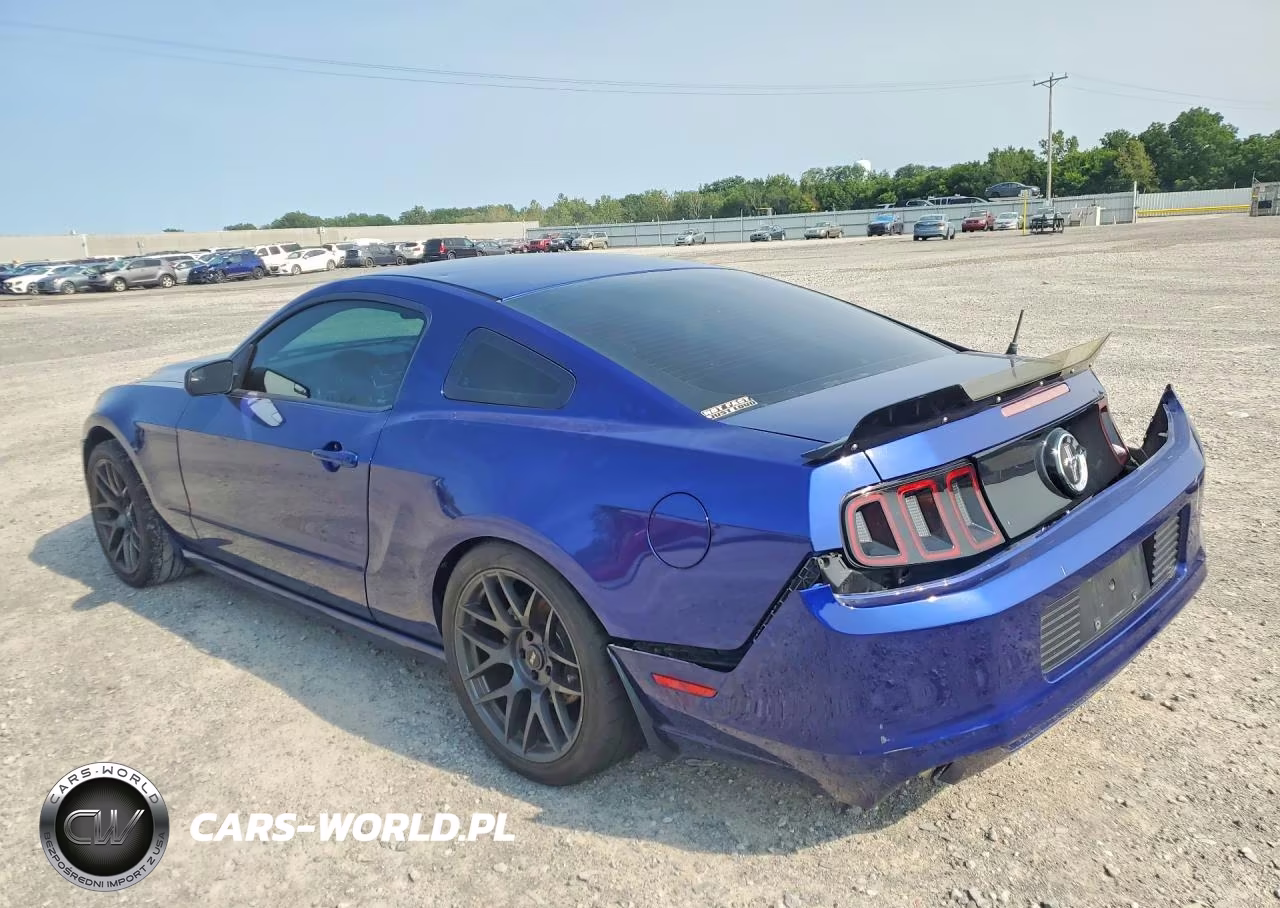 2014 Ford Mustang VIN:1ZVBP8AMXE5299248 - 2