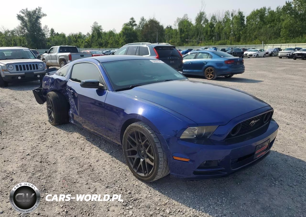 2014 Ford Mustang VIN:1ZVBP8AMXE5299248 - 4