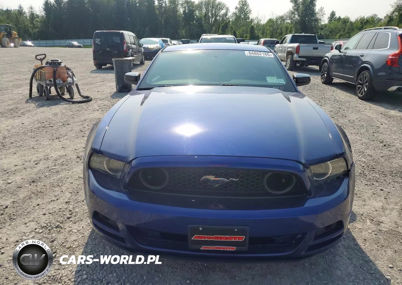 2014 Ford Mustang VIN:1ZVBP8AMXE5299248 - 5