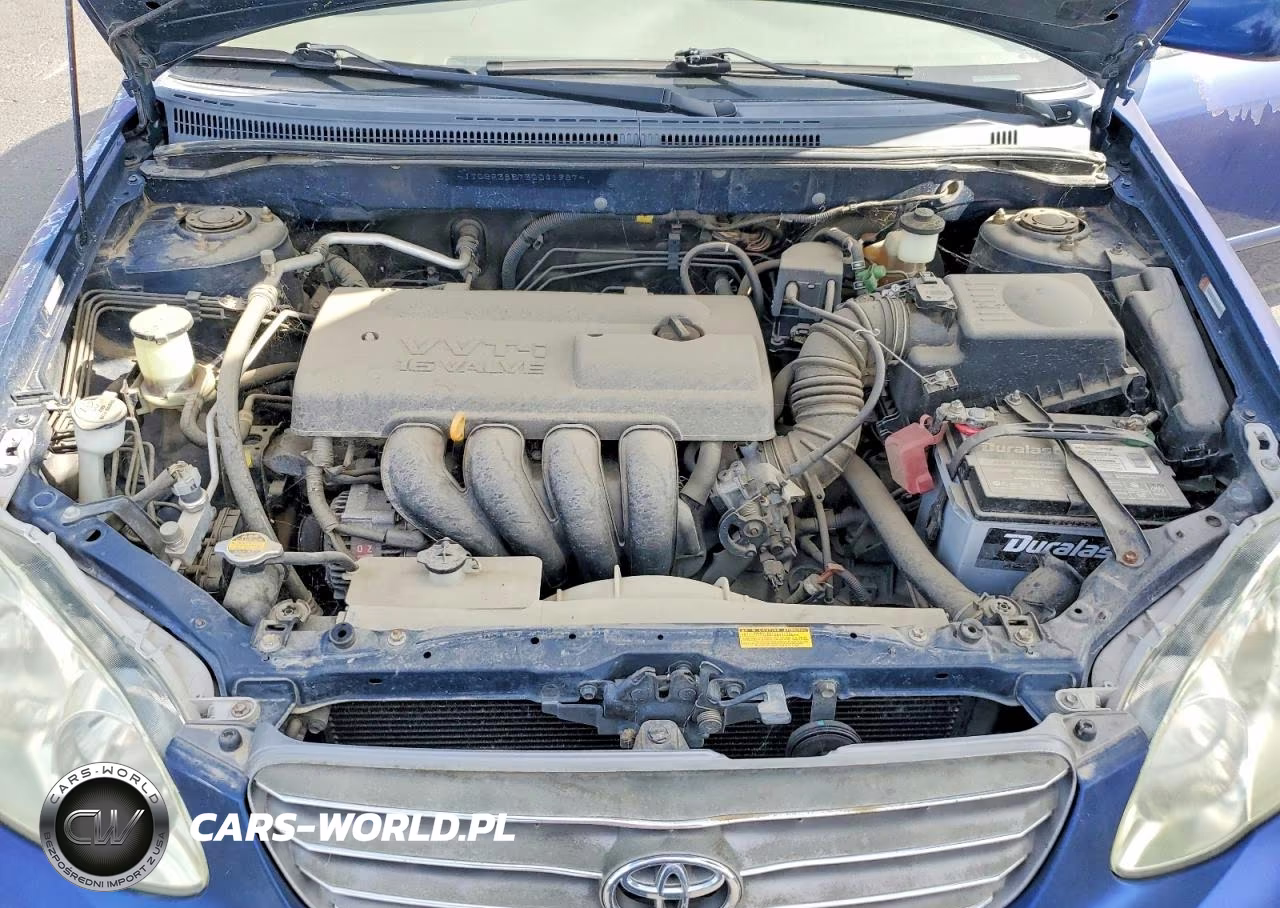 2003 Toyota Corolla Le VIN:JTDBR38E730041987 - 11
