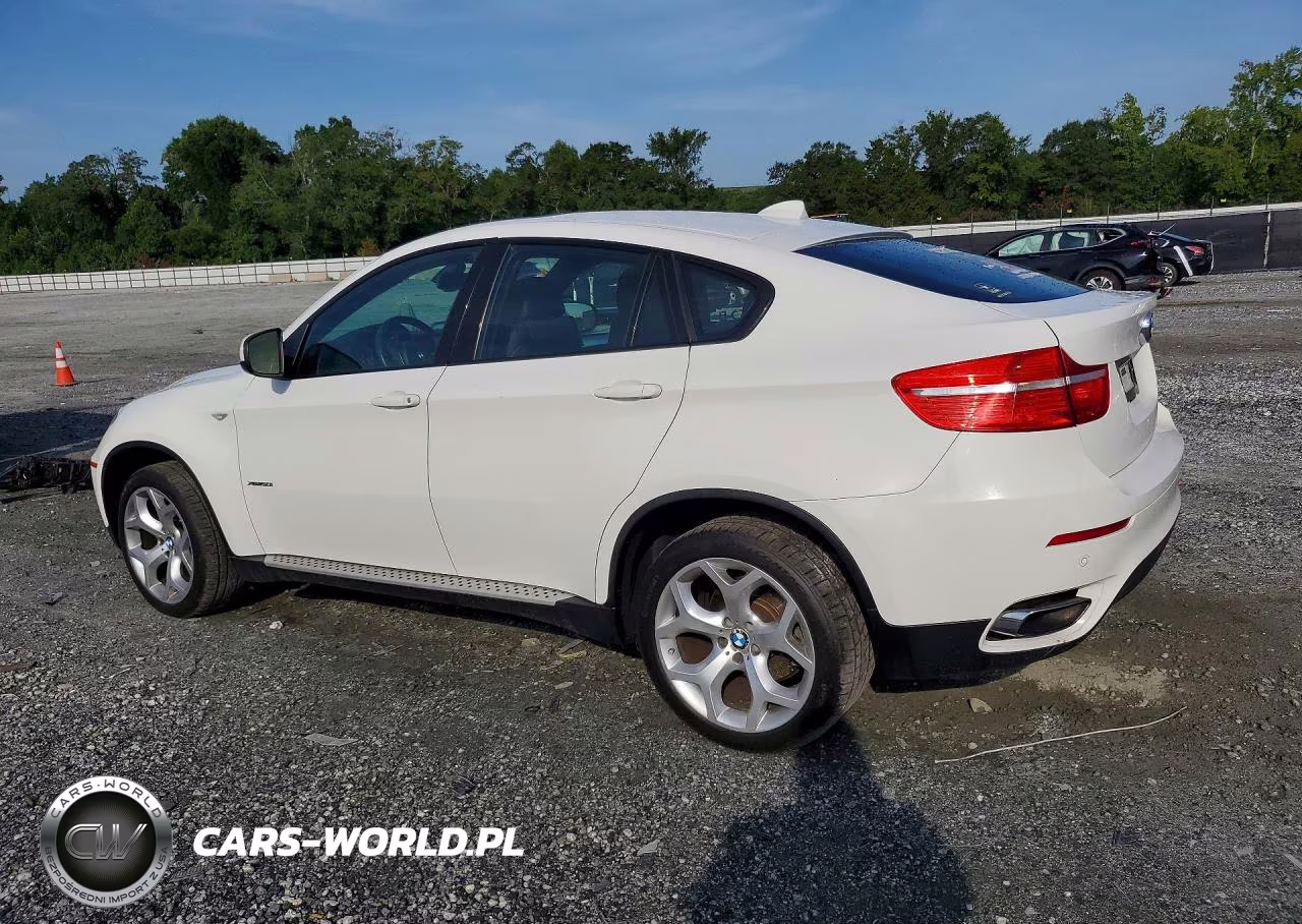 2011 BMW X6 xDrive50I VIN:5UXFG8C51BLZ96730 - 2