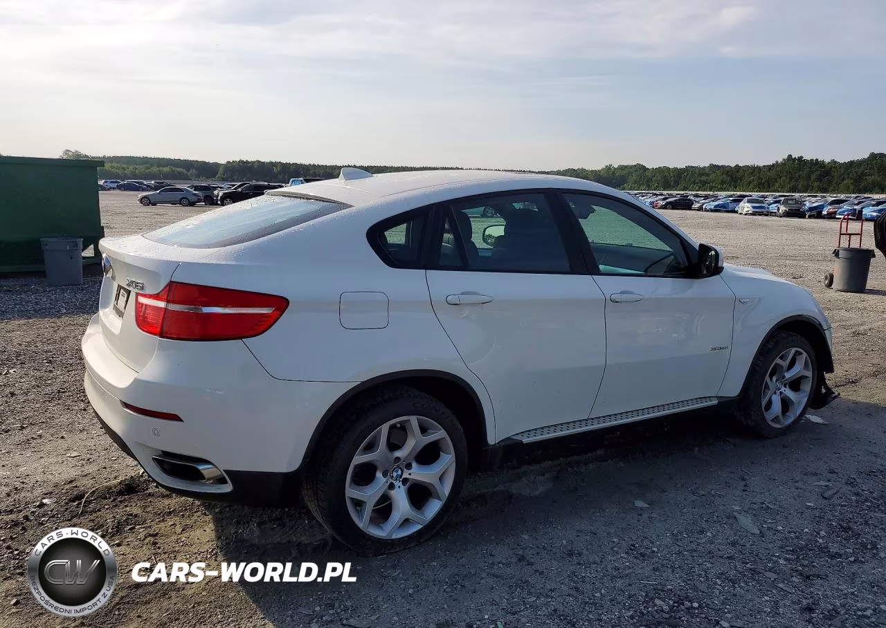 2011 BMW X6 xDrive50I VIN:5UXFG8C51BLZ96730 - 3