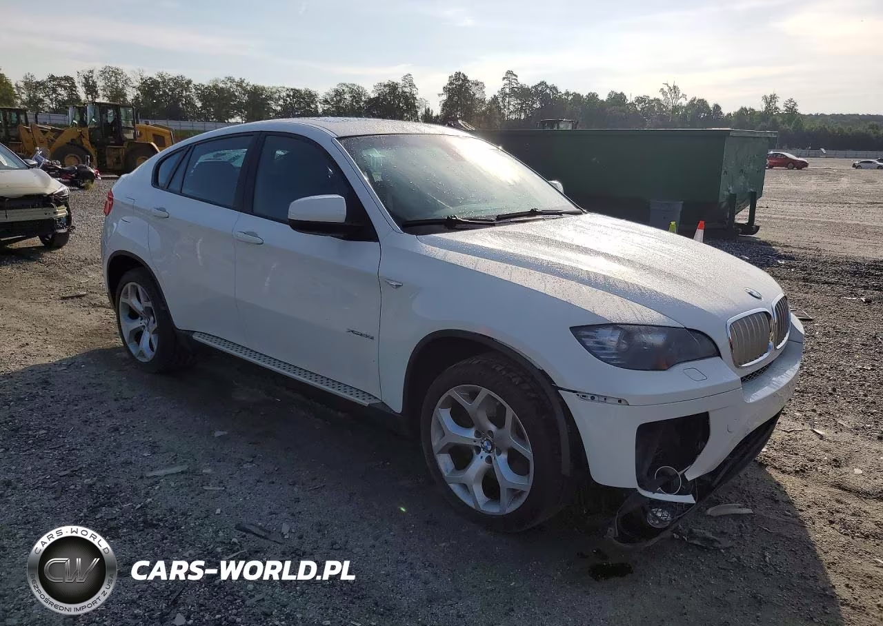 2011 BMW X6 xDrive50I VIN:5UXFG8C51BLZ96730 - 4