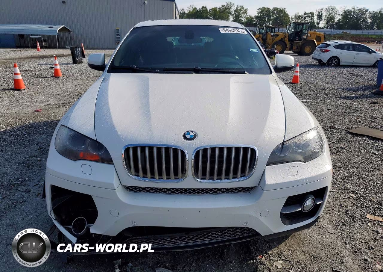 2011 BMW X6 xDrive50I VIN:5UXFG8C51BLZ96730 - 5