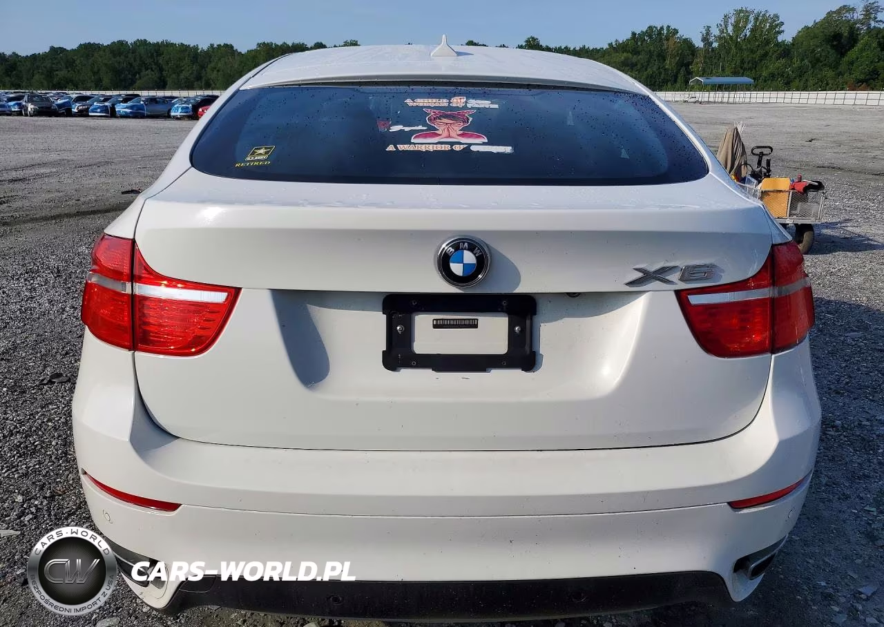 2011 BMW X6 xDrive50I VIN:5UXFG8C51BLZ96730 - 6