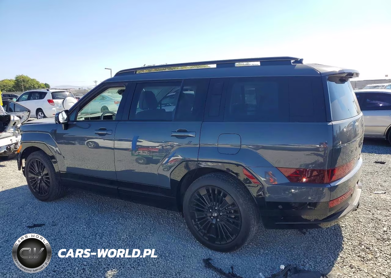 2025 Hyundai Santa Fe Calligraphy VIN:5NMP5DG15SH040518 - 2
